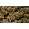 Gamers Grass: Set Marshland (Wild) - Zestaw traw Bagna (Wild) • 144 kępki 4–6mm